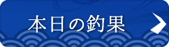 本日の釣果