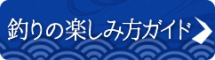 釣りの楽しみ方ガイド