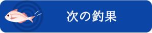 次の釣果