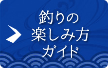 釣りの楽しみ方ガイド