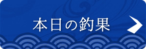 本日の釣果