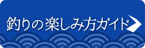 釣りの楽しみ方ガイド