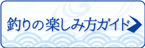 釣りの楽しみ方ガイド