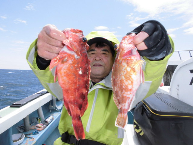 カサゴ入れかかり!