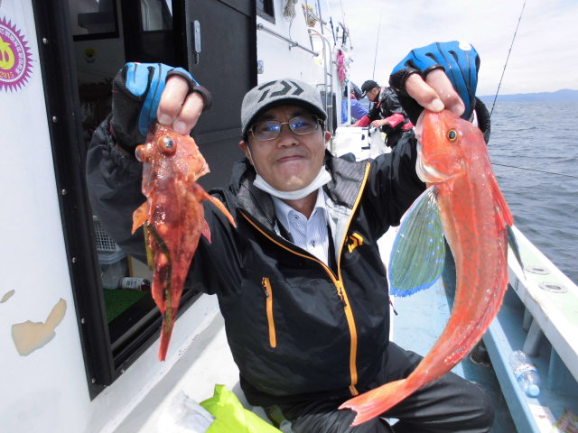 カサゴ・ホウボウゲット!