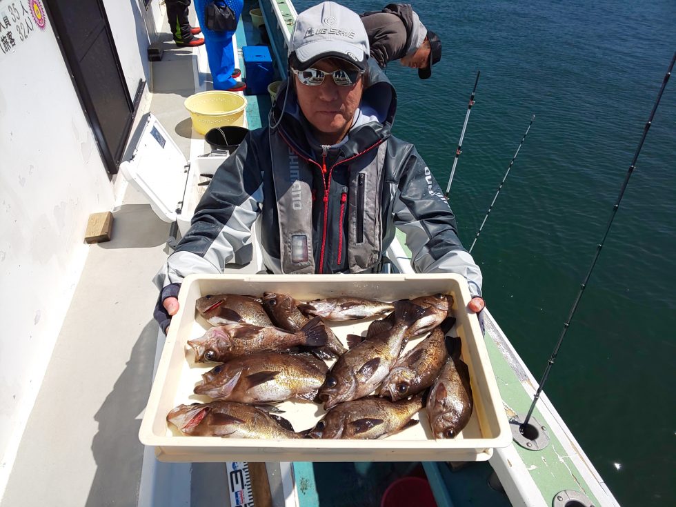 大型メバル釣りまくり！