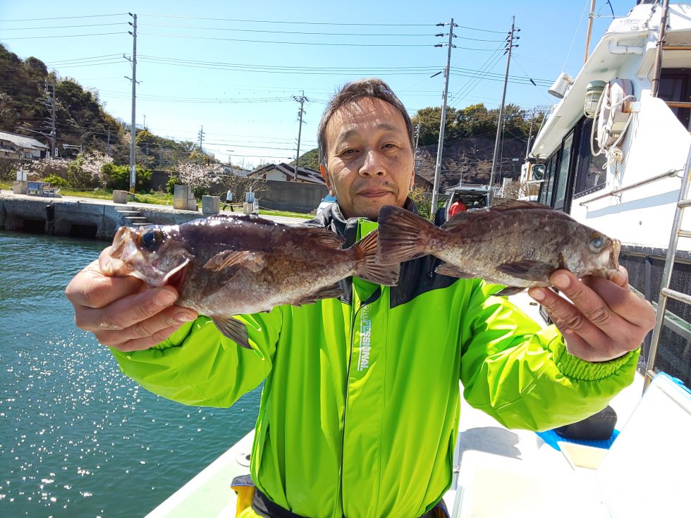 近場で大型メバルぼこぼこ！