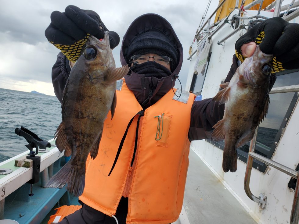 メバル続々!しかも良型ばかり!