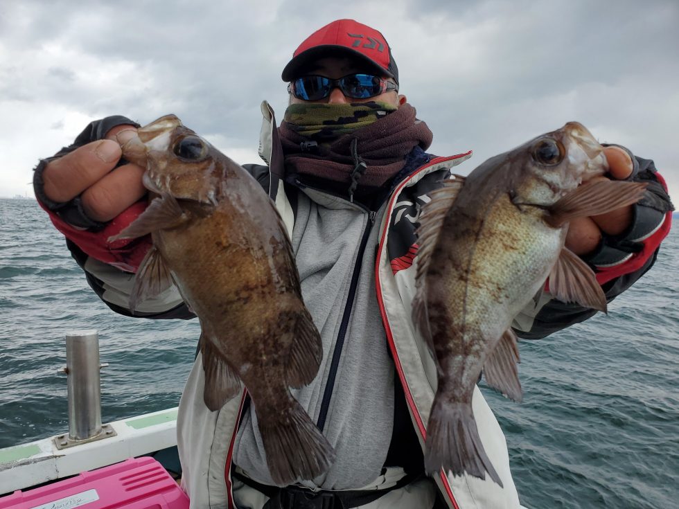 良型メバル炸裂ー!