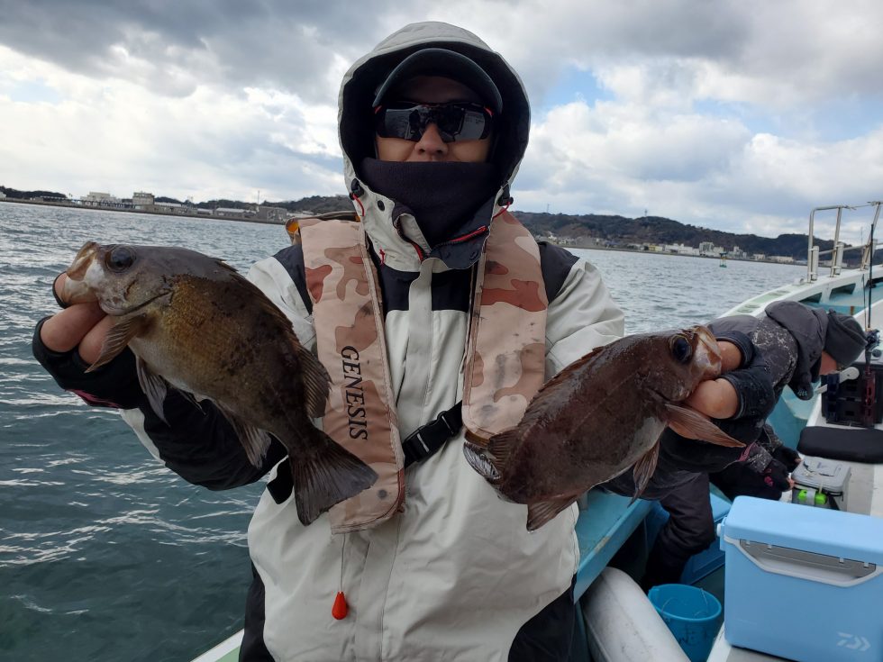 近場で大型メバル乱舞!