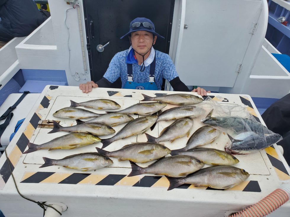 大型抱卵イサキ荒食い！