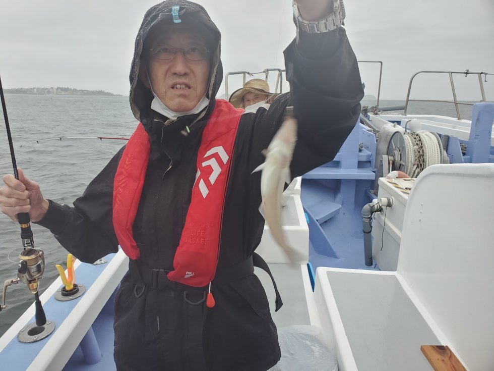 午後便キス釣り絶好調ー！