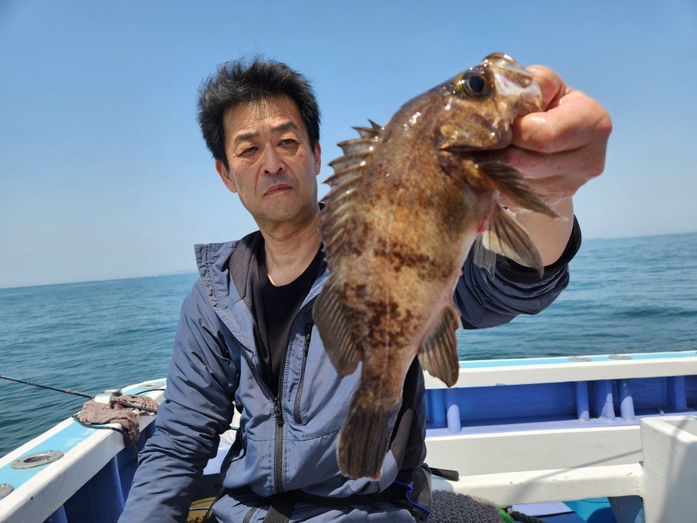 今日も尺メバル続々!