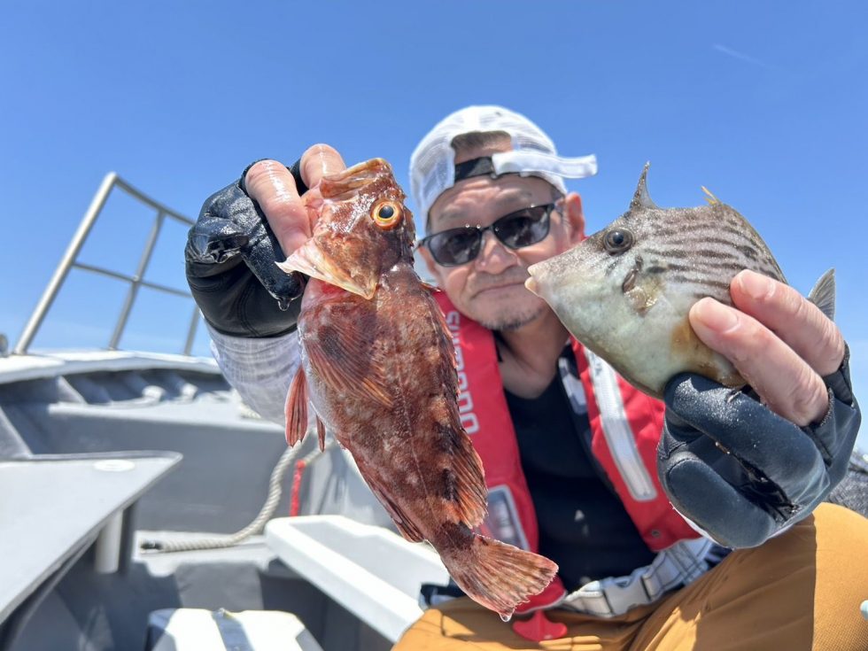 明日も活きウタセエビたっぷり用意してお待ちしてます!