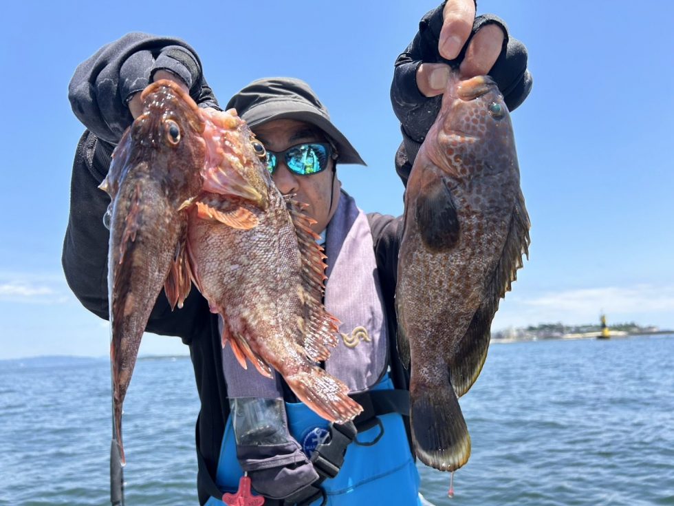 キジハタゲットー!