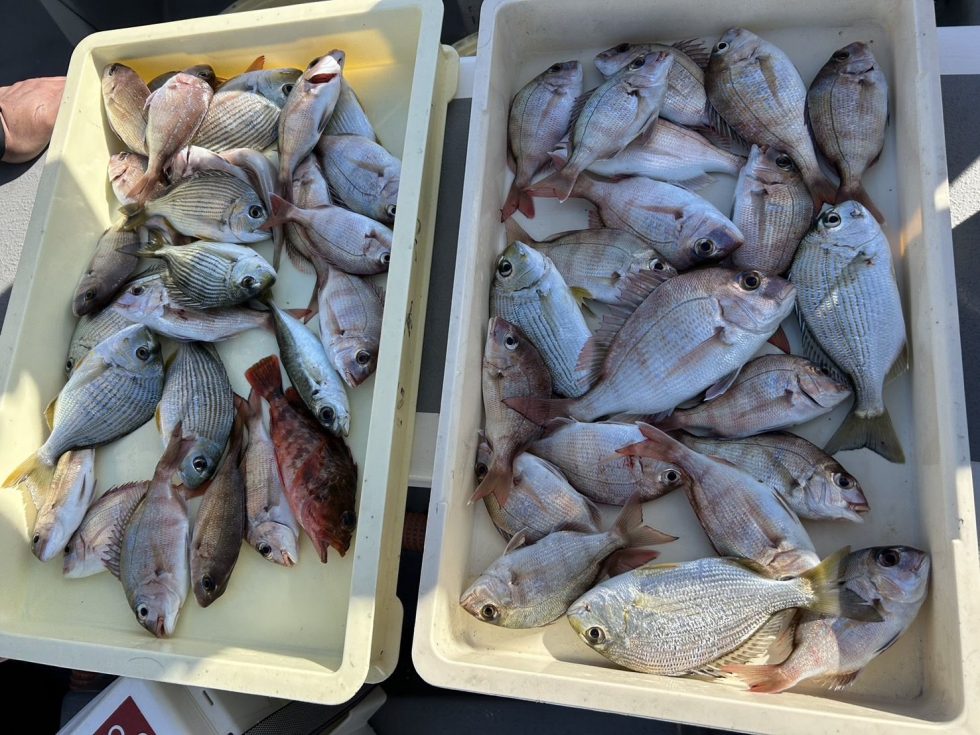 初心者の方も楽しめました