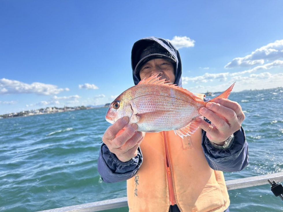 活きウタセエビにこだわってますのでウタセ五目は入荷次第です。