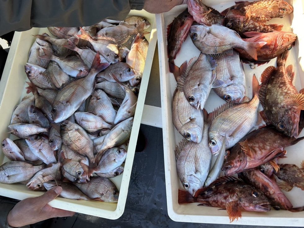 50匹超えの方続出でした