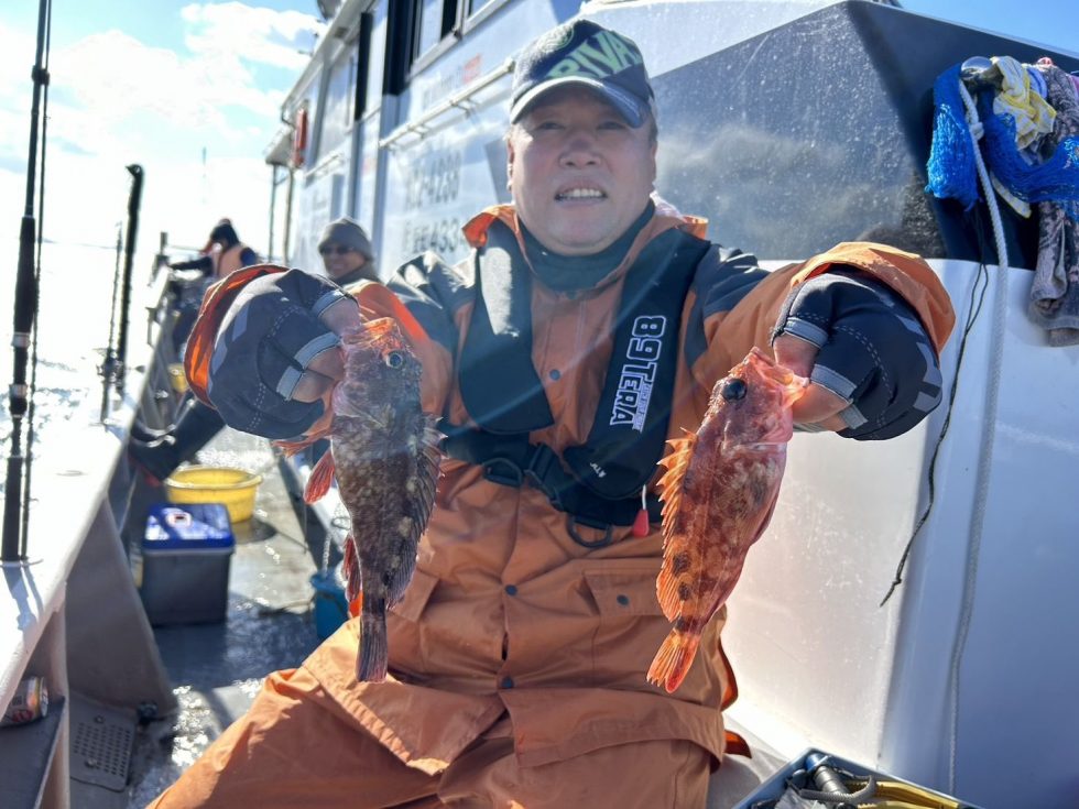 カサゴが嬉しいー