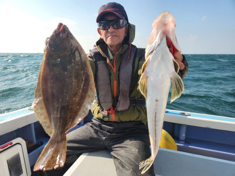 イワシ泳がせ出船!明日(土)空きでました。予約受付中!