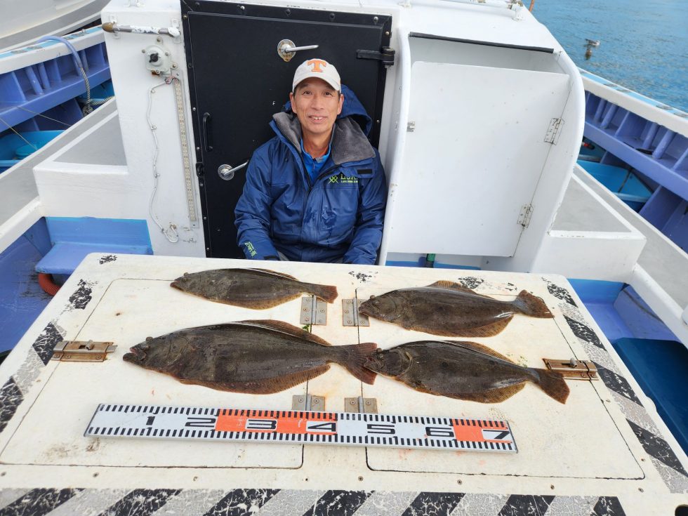 大型サイズ続々!