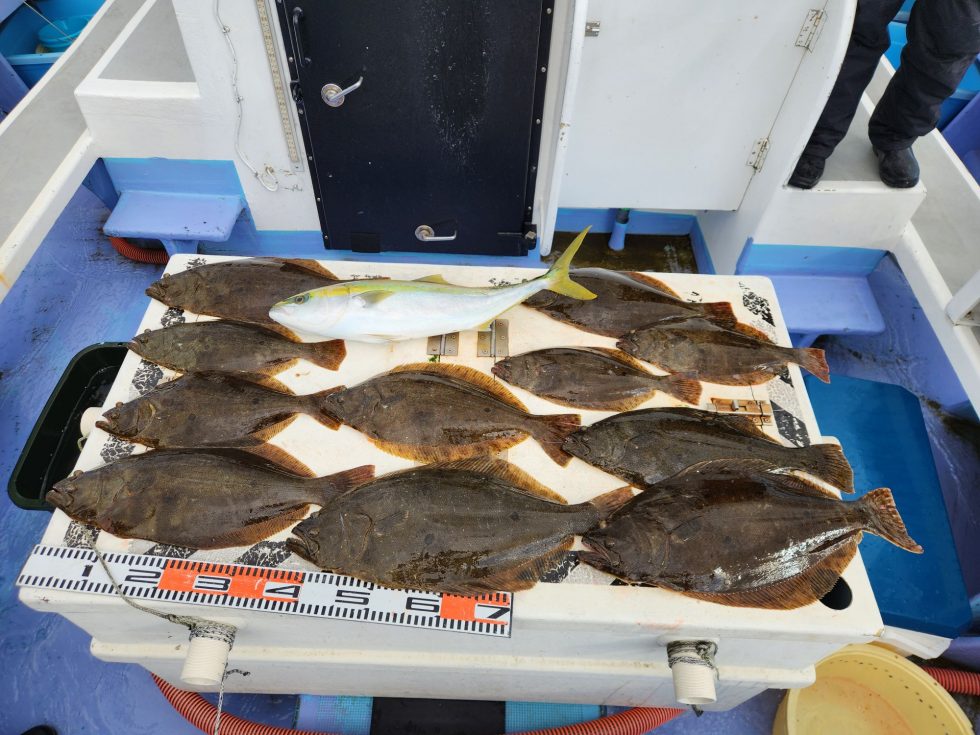 ヒラメ爆発!明日もお楽しみに!空き多数です。朝の飛び入り大歓迎