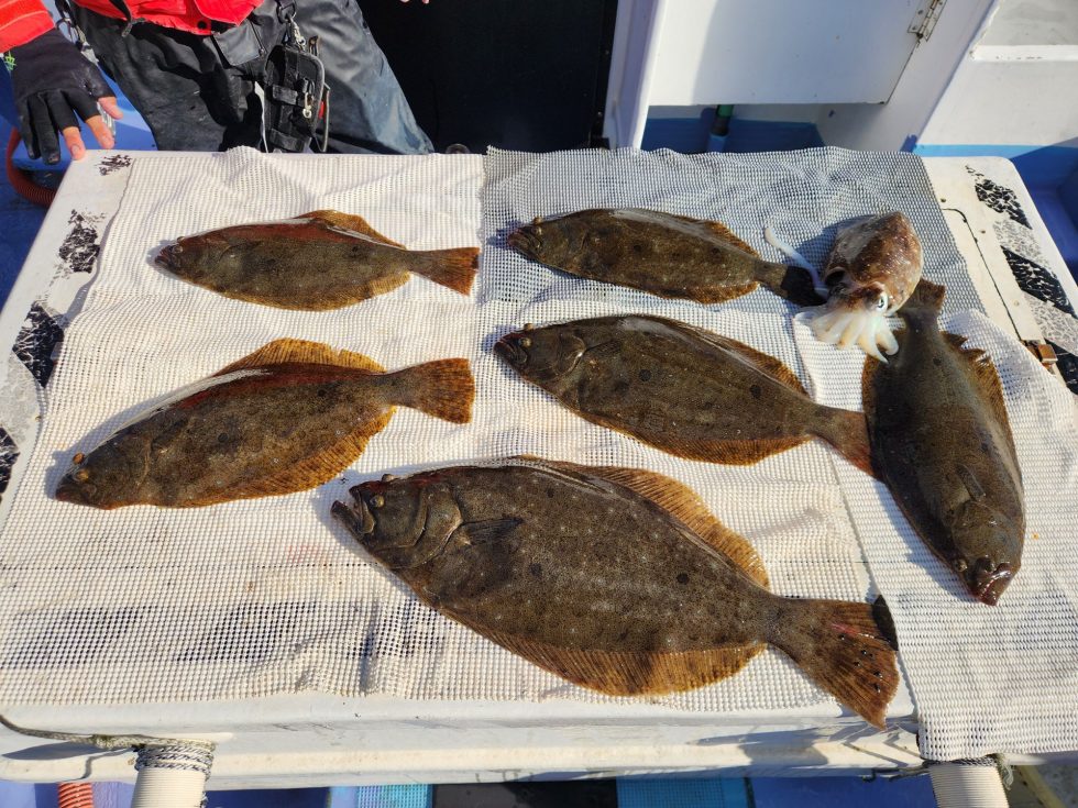 明日からも楽しみです!