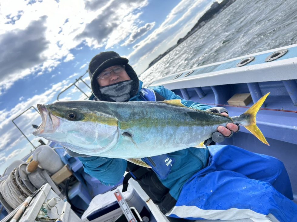 港前、ブリ続々！