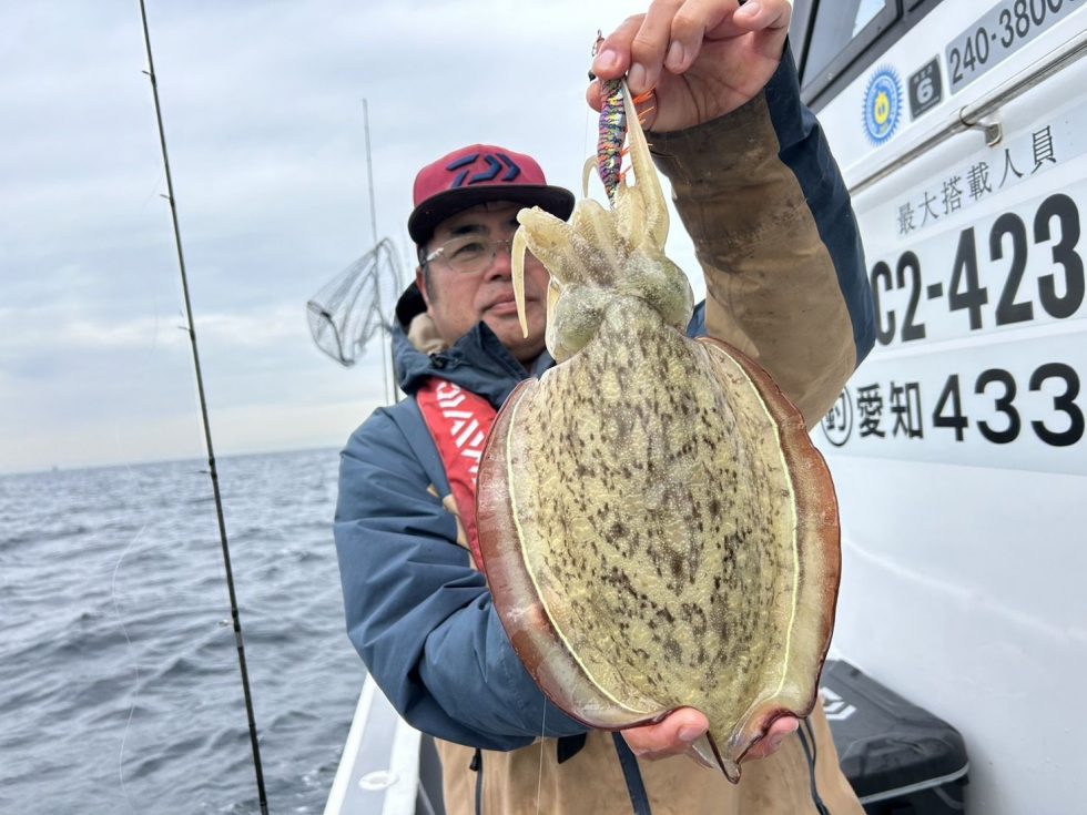 コウイカ釣り出船！好調ー！
