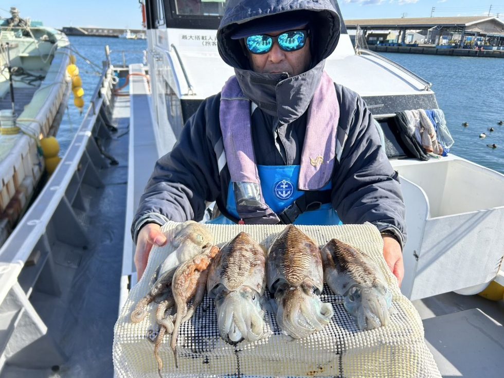 コウイカ好調ー!