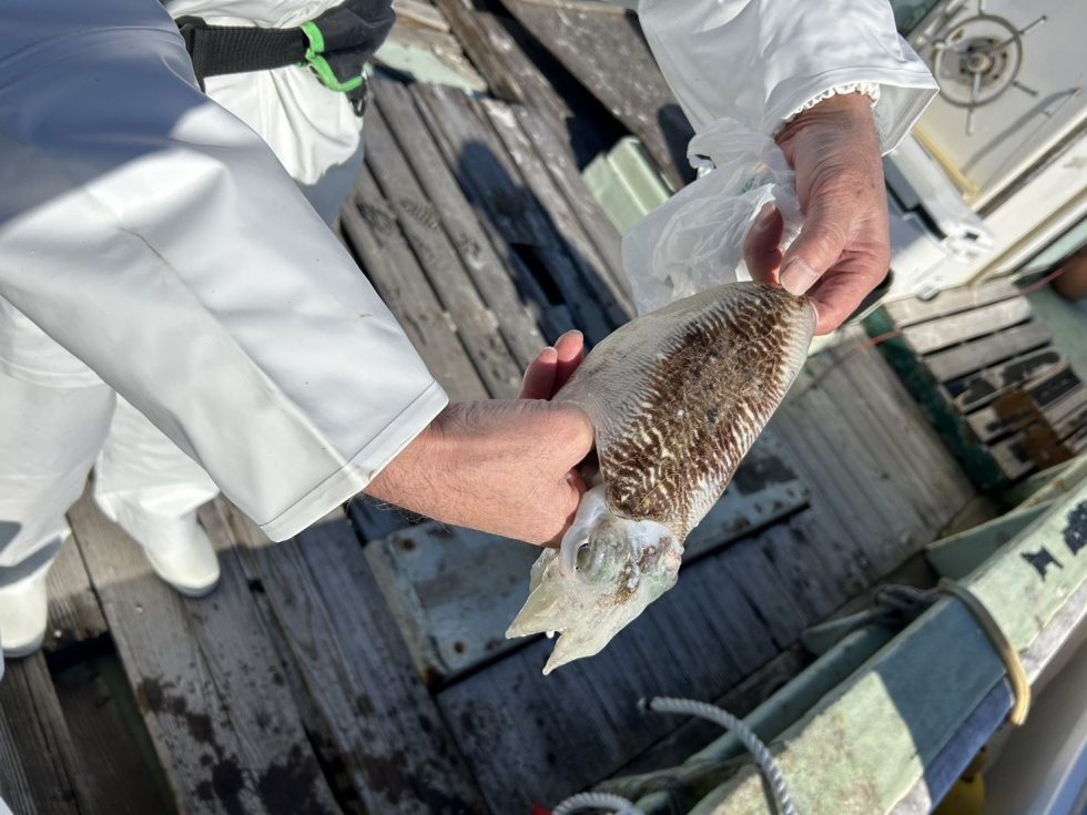 墨攻撃に気を付けて下さい