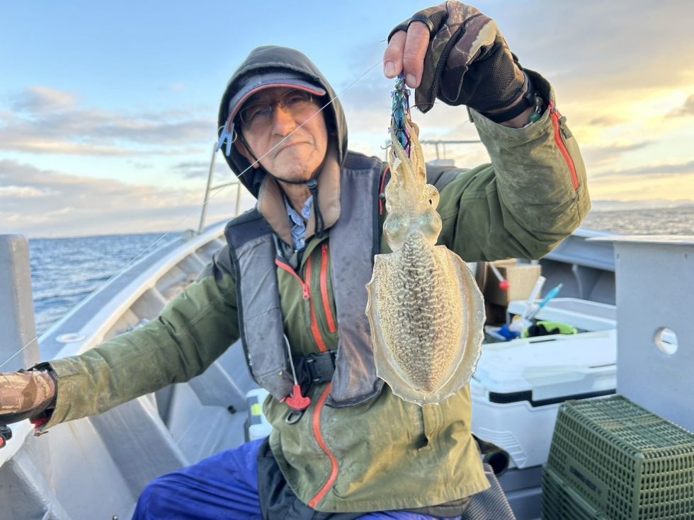 コウイカ出船！好調ー！