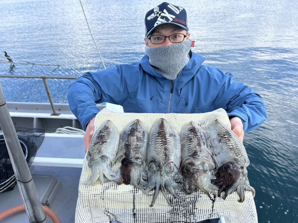 コウイカ絶好調ー！