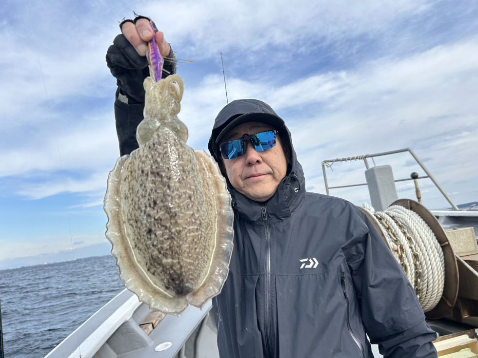 大型コウイカ！