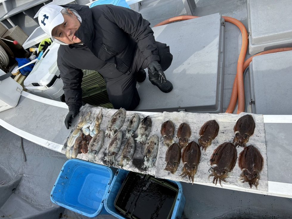 コウイカ過去最高釣果達成！初挑戦で１５杯はお見事です！第十一