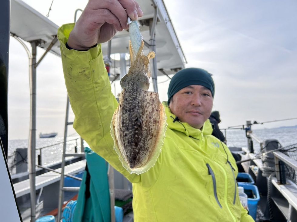 明日(土)もコウイカ出船確定！かなり空き多数！朝の飛び入り大歓迎