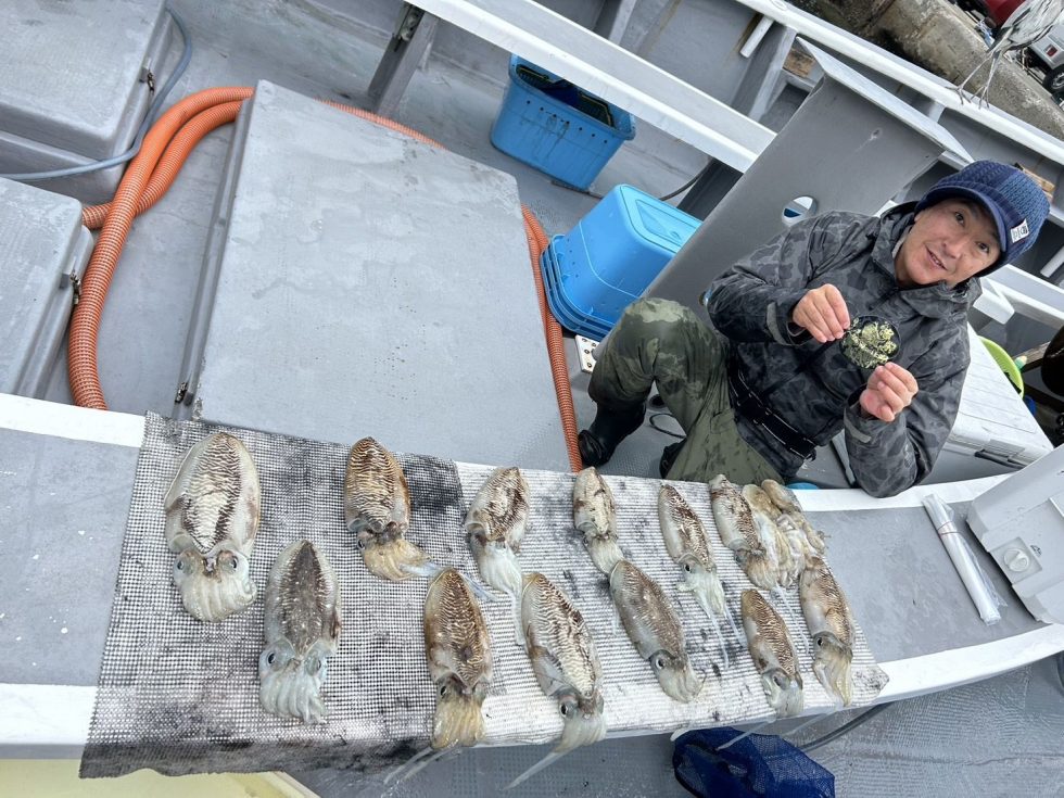 コウイカ爆発!船中82杯!新記録更新中!