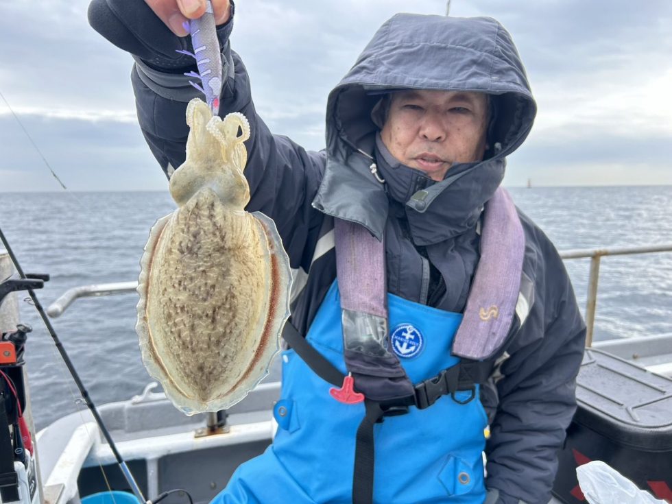 絶品コウイカチャンス!