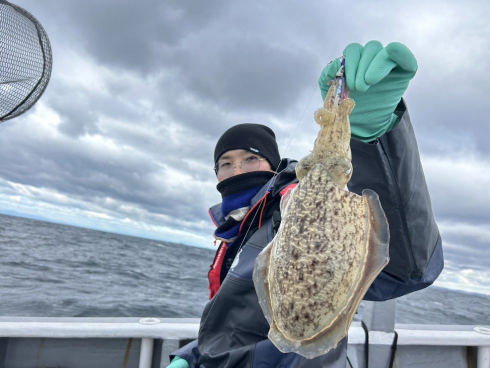 肉厚絶品コウイカチャンス！