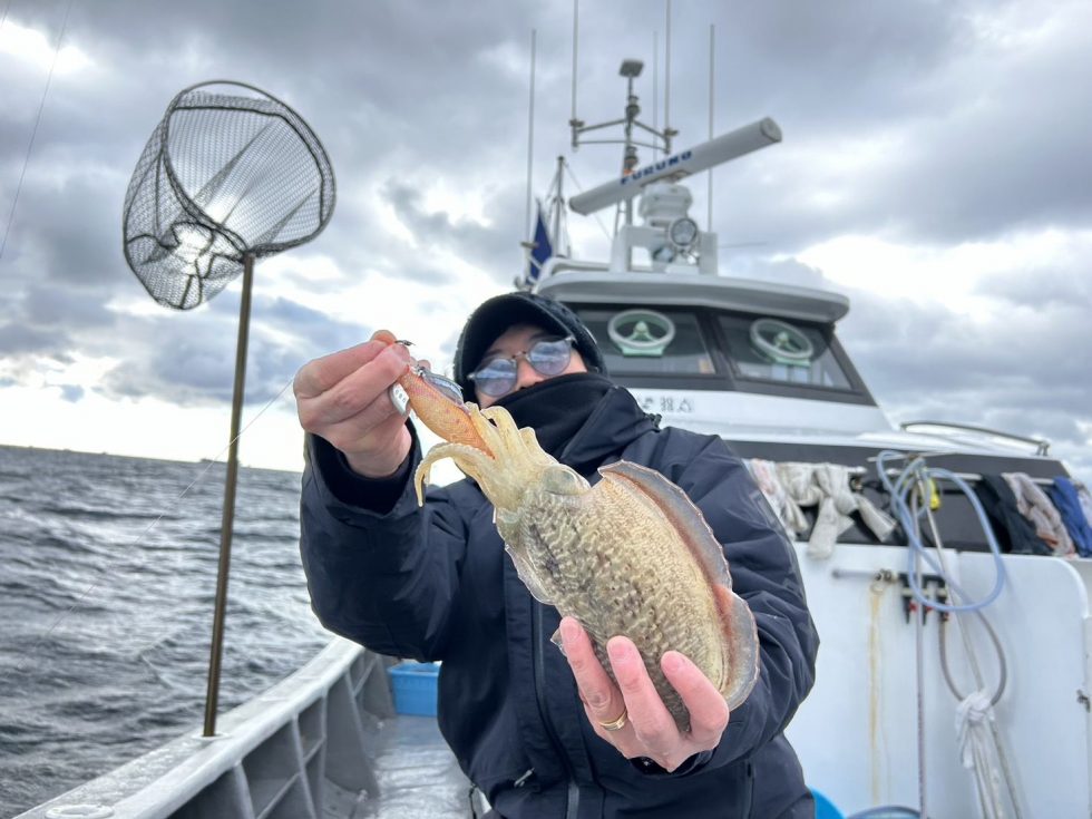 コウイカ絶好調ー！割と穏やかな日になりました