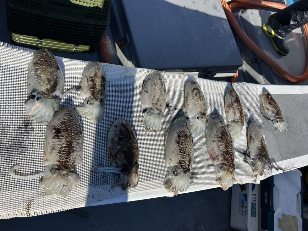 善は急げです！