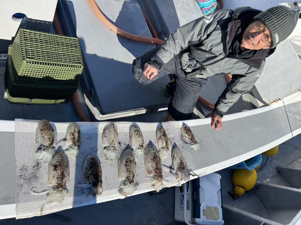 コウイカ爆発！１１杯！