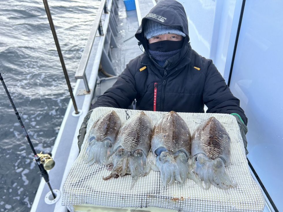 連日の乗船ありがとうございます！