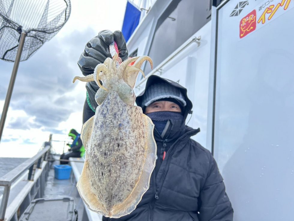 大型サイズは重量感が凄い！