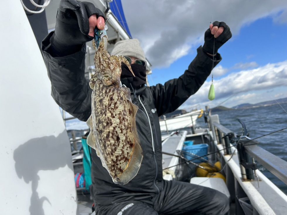 明日(水)コウイカ釣り、泳がせ釣り、出船募集中！