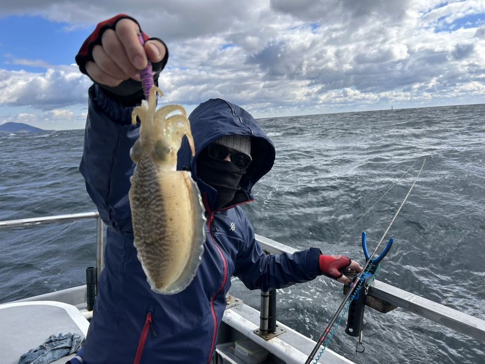 肉厚絶品コウイカチャンス！