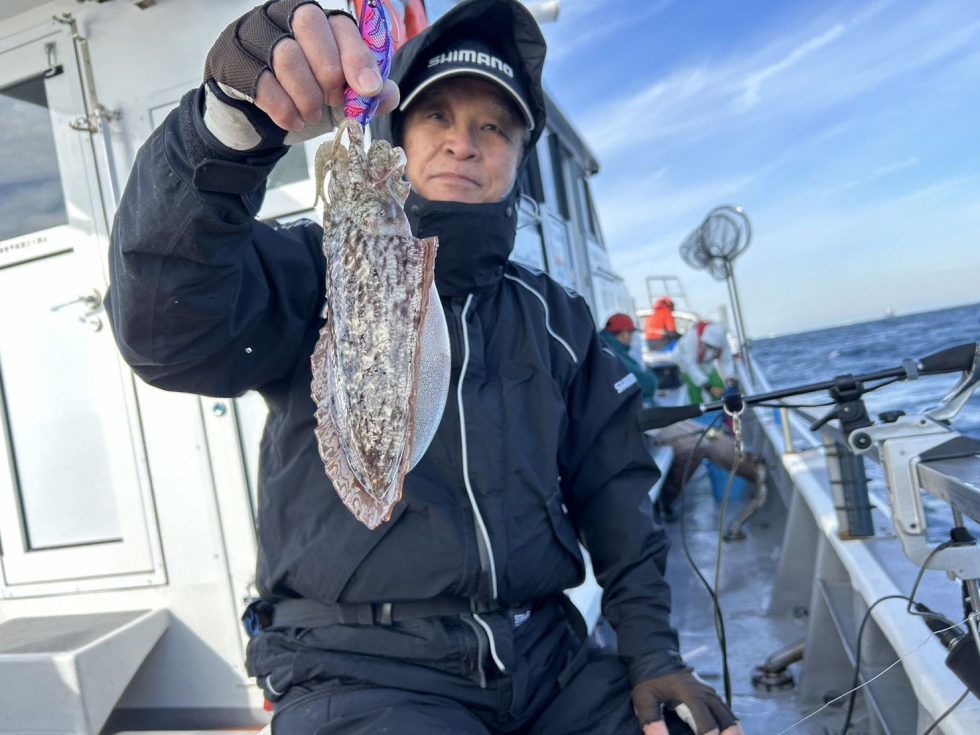 明日(木)コウイカ釣り、泳がせ釣り、ともに空き多数です