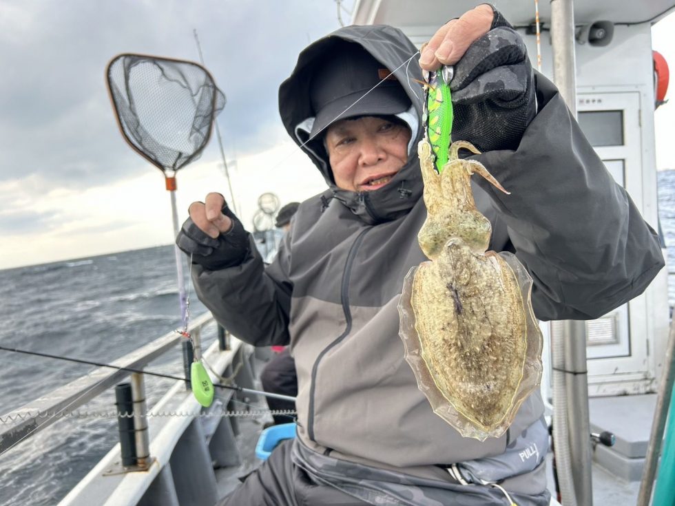 コウイカ当たり年！善は急げです！