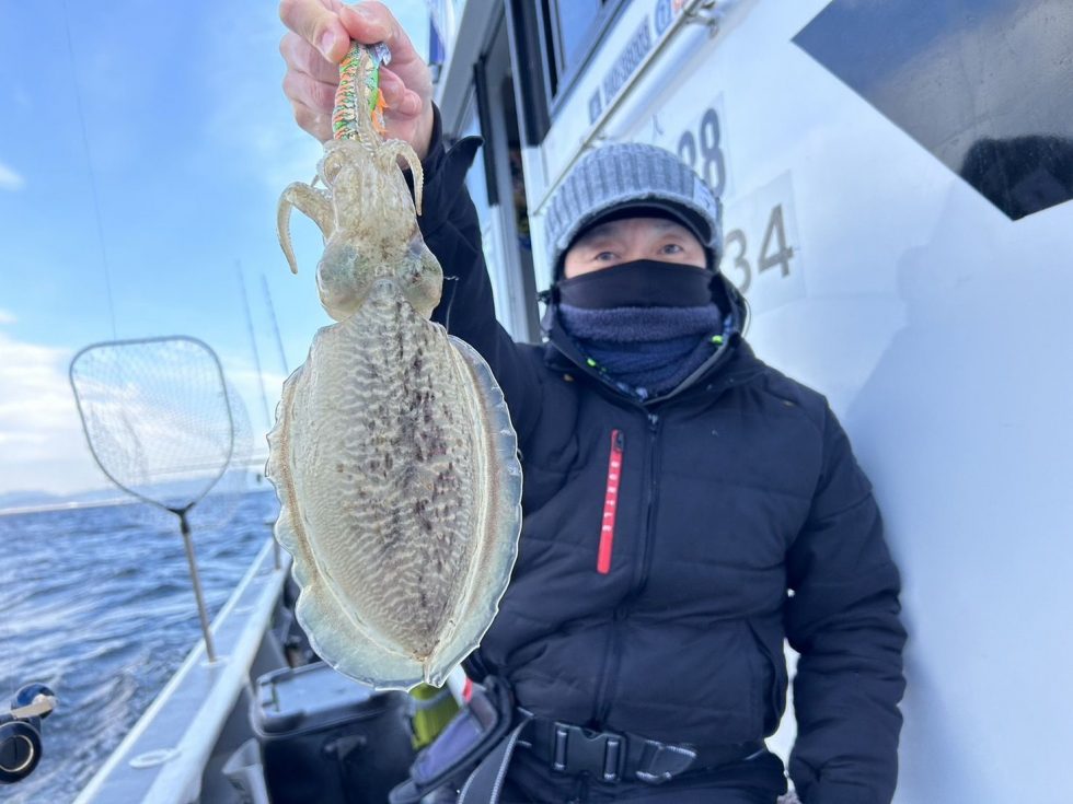 コウイカにどっぷりハマりました