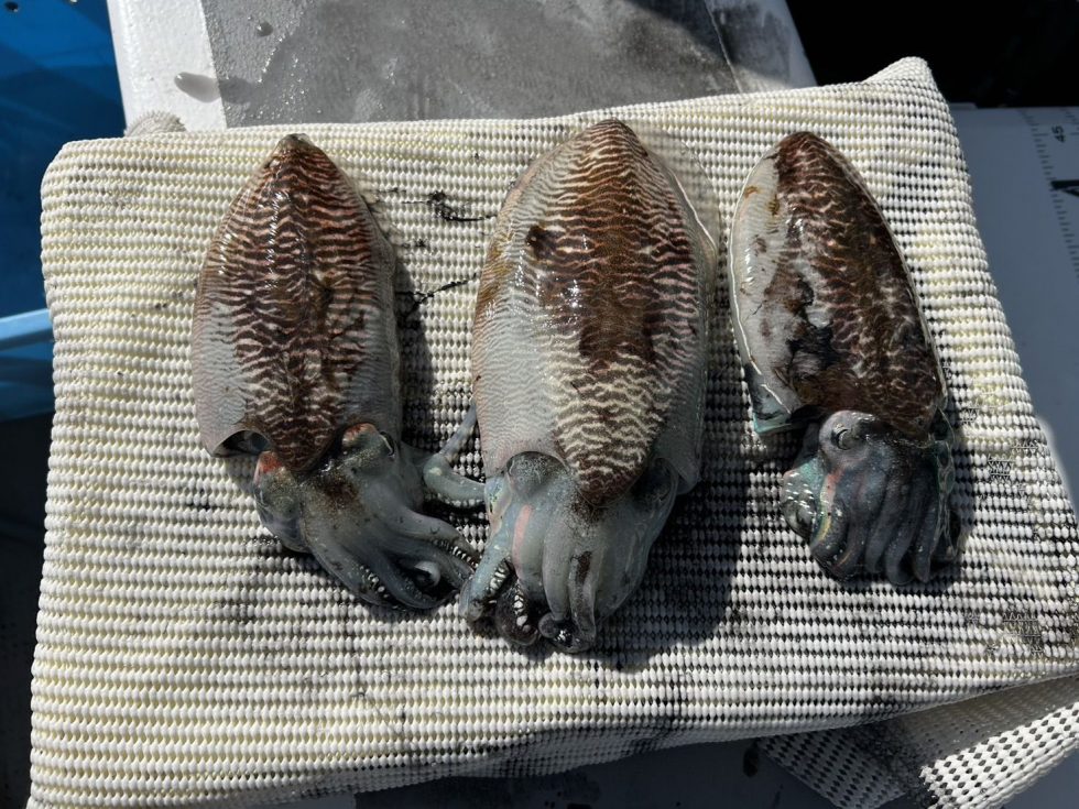 皆さん平均して釣れましたよ!